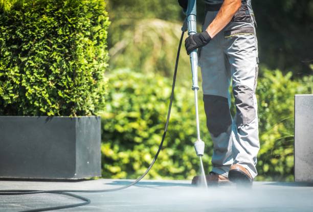 Best Gutter Cleaning  in Ruston, WA
